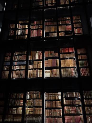 Shelves containing preserved books and archival materials